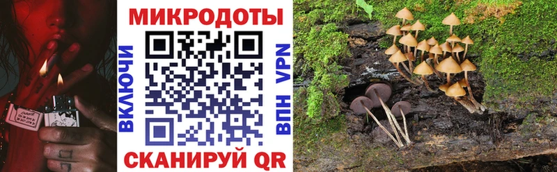 Купить где  Гдов  Галлюциногенные грибы Magic Shrooms 